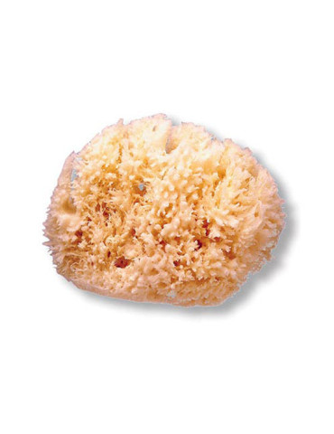 ESPONJA NATURAL SUAVINEX GD