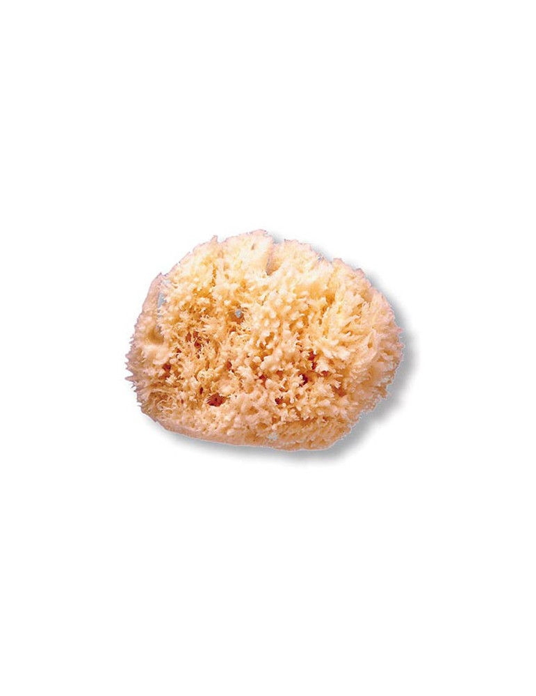 ESPONJA NATURAL SUAVINEX GD