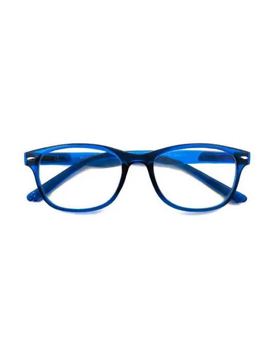 GAFA PROTECVISION SALAMANDRA COLOUR AÑIL 2.00+