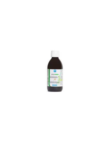 NUTERGIA ERGYDREN 250 ML