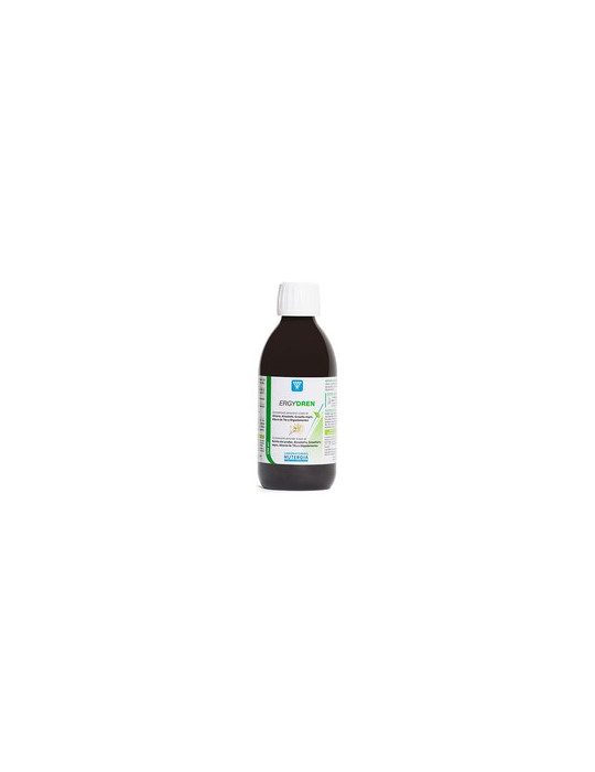 NUTERGIA ERGYDREN 250 ML