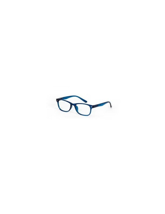 GAFAS PROTEC VISION FLAMENCO BLUE +01.00