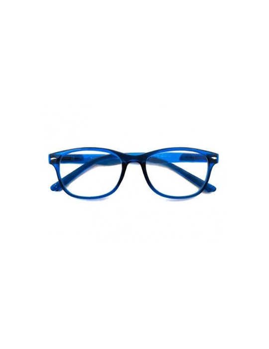 GAFA PROTECVISION SALAMANDRA COLOUR AÑIL +2.50