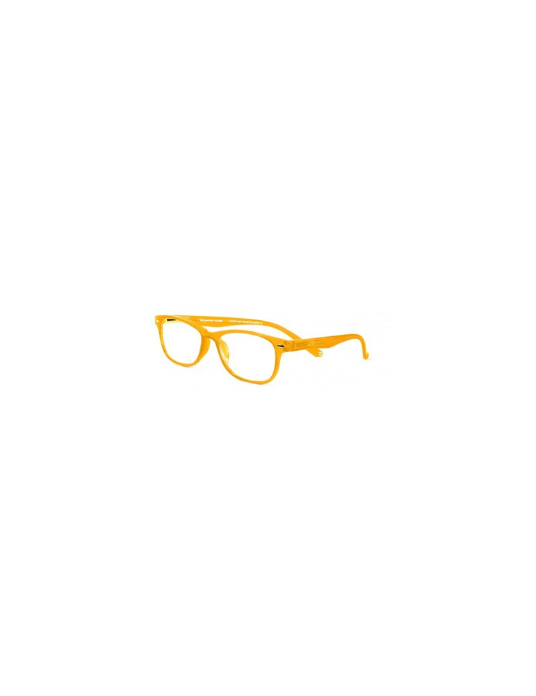 GAFA PROTECVISION SALAMANDRA COLOUR ORANGE +3.00