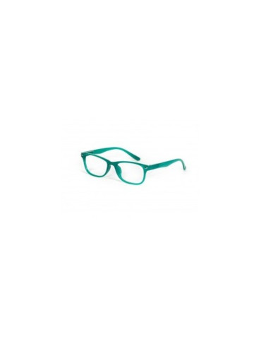 GAFA PROTECVISION SALAMANDRA COLOUR MINT-GREEN +2.50