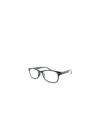 GAFA PROTECVISION SALAMANDRA II GREY +2.00