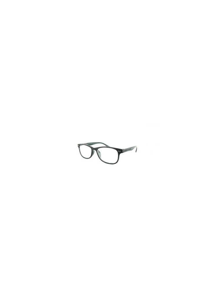 GAFA PROTECVISION SALAMANDRA II GREY +2.00