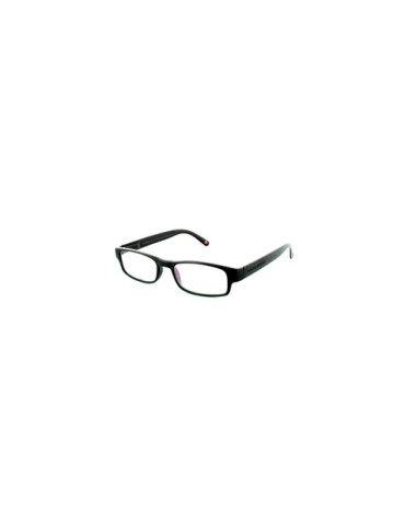 GAFAS PROTEC VISION FLAMENCO BLACK +03.00